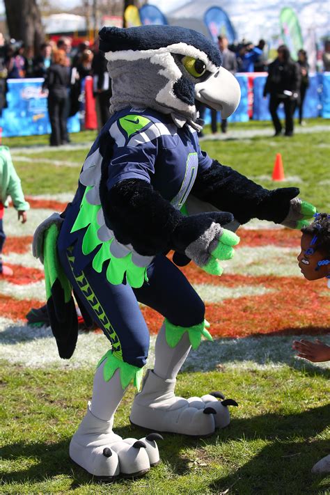 Seattle seahawks mascots crash
